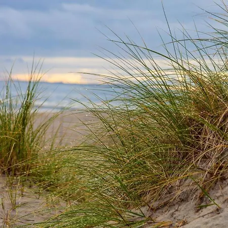 דירה Schmidt-einander *